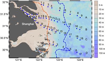 Summer phytoplankton photosynthetic characteristics in the Changjiang River Estuary and the adjacent East China Sea